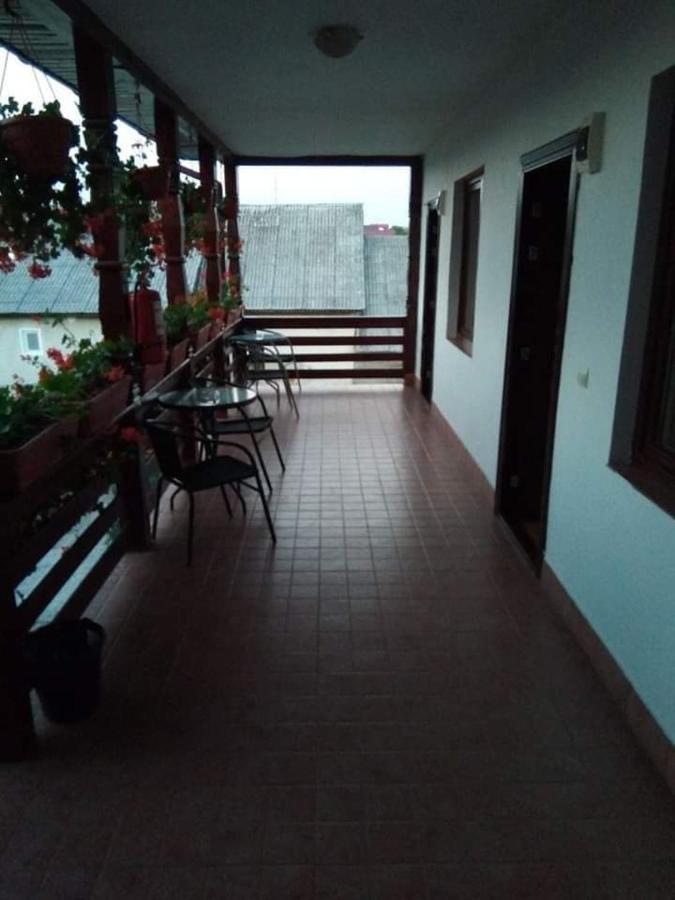 Hotel Cris & Mona Săpînţa Exteriér fotografie