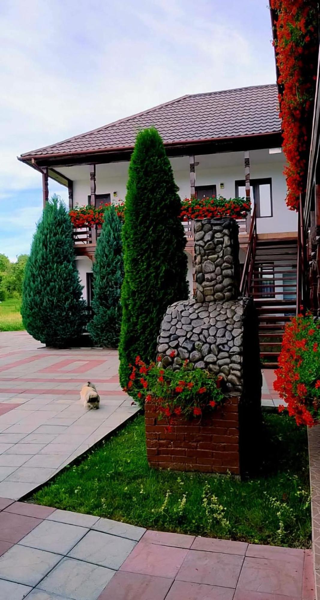 Hotel Cris & Mona Săpînţa Exteriér fotografie