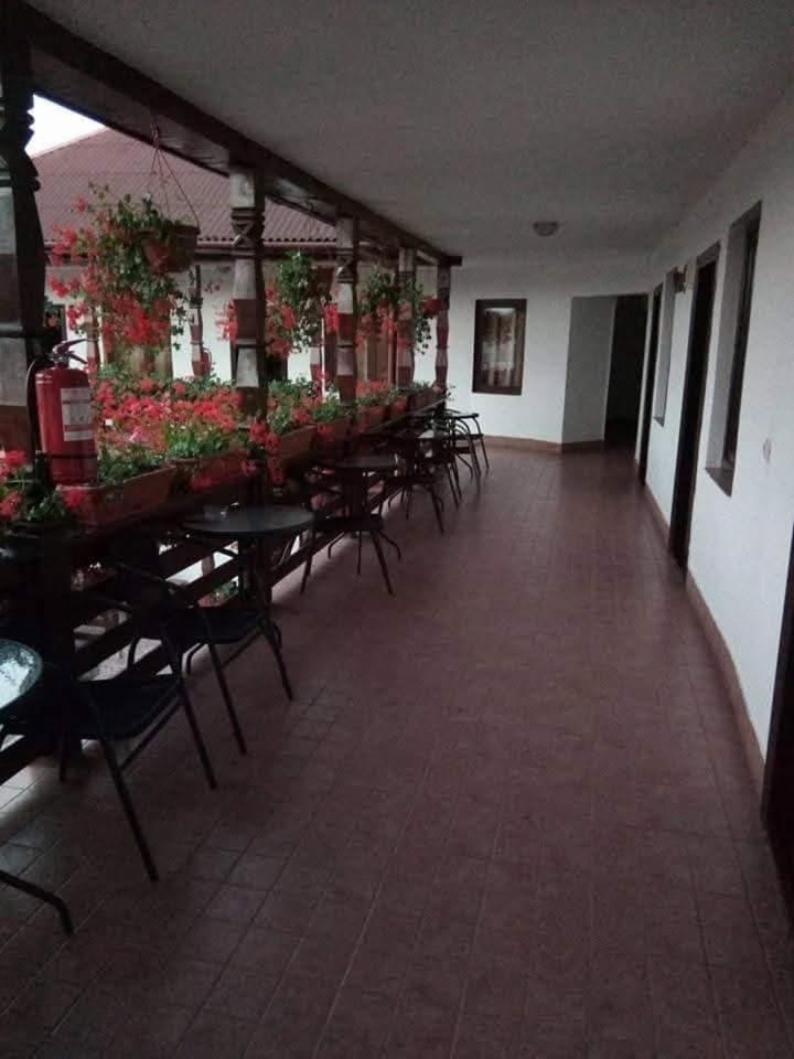 Hotel Cris & Mona Săpînţa Exteriér fotografie