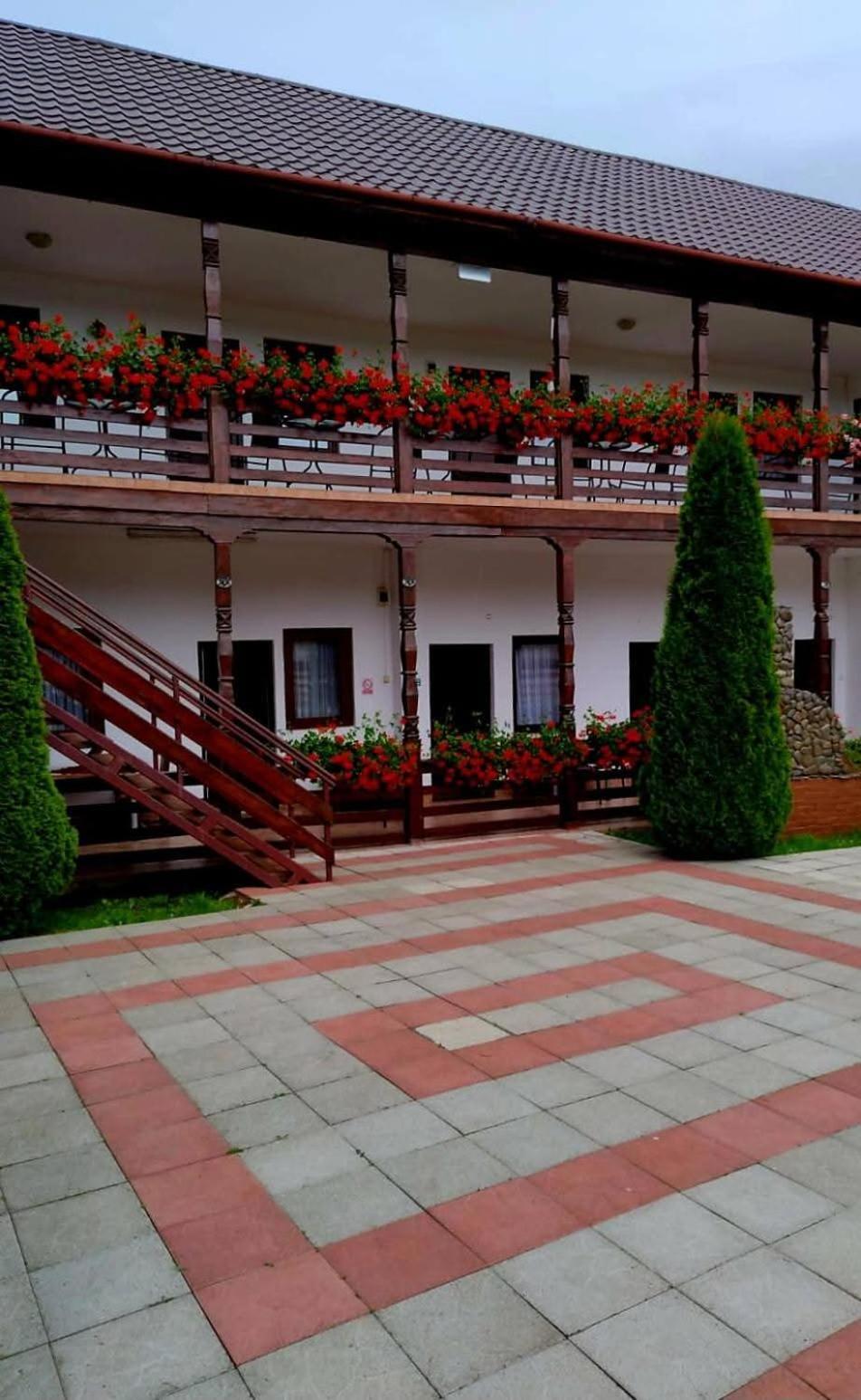 Hotel Cris & Mona Săpînţa Exteriér fotografie